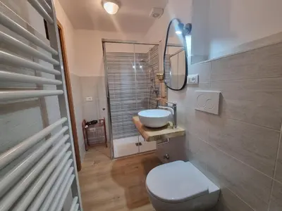 a bathroom with a toilet and a sink and a mirror at El Tobià in Campitello