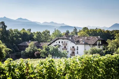 a house in a vineyard with mountains in the background at Hotel Weingut Stroblhof in Appiano sulla Strada del Vino