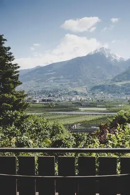 a view of a vineyard with mountains in the background at Guesthouse Christine in Marlengo
