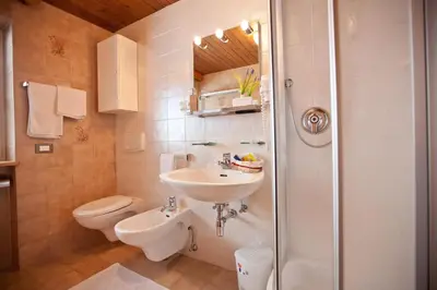 a bathroom with a sink and a toilet and a shower at Apartaments Galina in Selva di Val Gardena