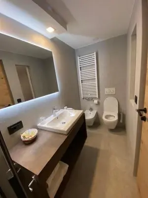 a bathroom with a sink and a toilet and a mirror at Apartaments Galina in Selva di Val Gardena