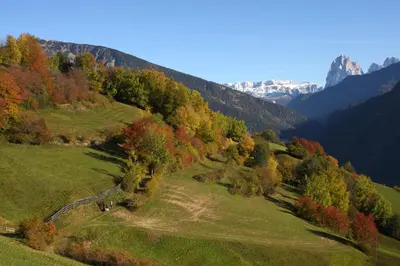 a grassy hill with trees and mountains in the background at Paderlafoderhof in Laion