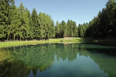 a pond in a field with trees in the background at Paderlafoderhof in Laion