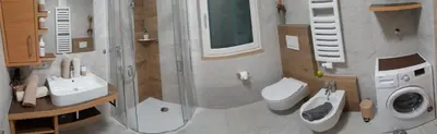 a bathroom with a sink and a toilet and a shower at Chalet Schwarzenstein in Campo Tures