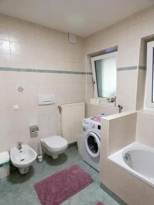 a bathroom with a toilet sink and a washing machine at Apartment Peskoller in Falzes
