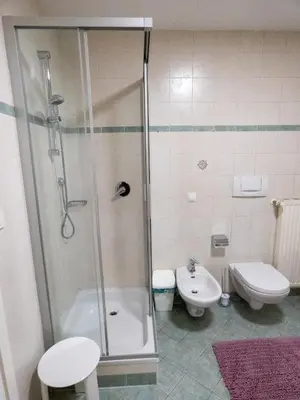 a bathroom with a shower and a toilet and a sink at Apartment Peskoller in Falzes