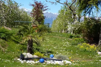a garden with a palm tree in a field of flowers at Garni Rebhof in Nalles