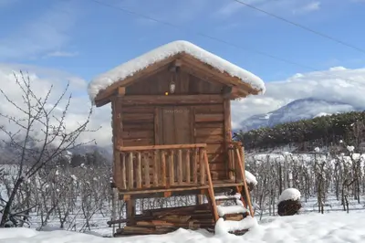 a wooden cabin with snow on it in a field at Apartments Schmalzerhof - Eppan an der Weinstraße in Appiano Sulla Strada Del Vino