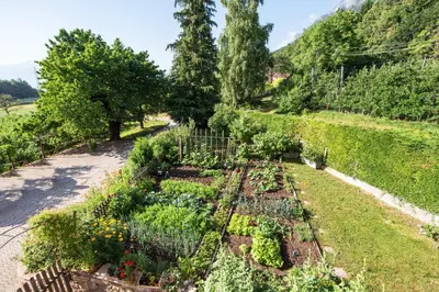 a garden with many different types of plants at Apartments Schmalzerhof - Eppan an der Weinstraße in Appiano Sulla Strada Del Vino