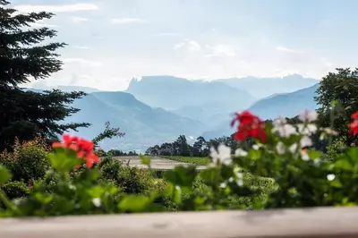 a field of flowers with mountains in the background at Apartments Schmalzerhof - Eppan an der Weinstraße in Appiano Sulla Strada Del Vino