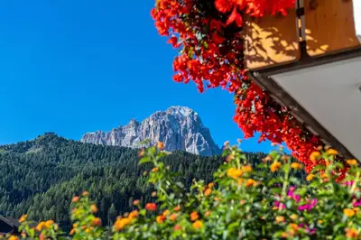 a view of a mountain with flowers in the foreground at Garni Bondi in Selva di Val Gardena