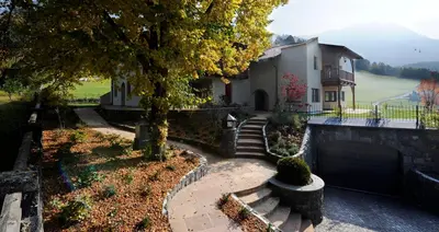 a house with a tree and stairs in front of it at Villa Tilia in Siusi
