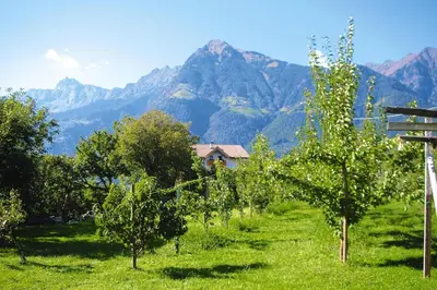 a field of apple trees with mountains in the background at Apartment in Dorf Tirol near Spronser Lakes in Tirolo