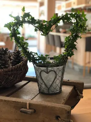 a heart shaped plant in a pot on a table at Hotel Arnaria in Ortisei