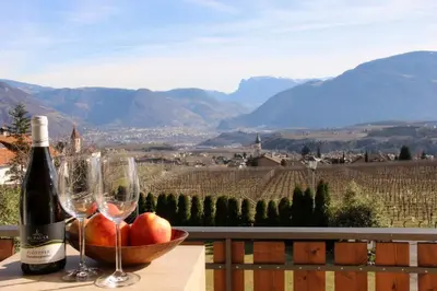 a bedroom with two beds and a window at Ferienwohnung Haas in Appiano sulla Strada del Vino