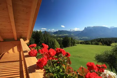 a bunch of red flowers sitting on a porch at Unterpfaffstall-Hof in Collalbo