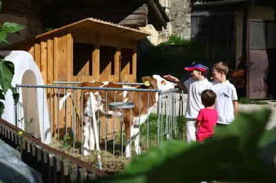 a group of children looking at a cow behind a fence at Mairhof in Laion