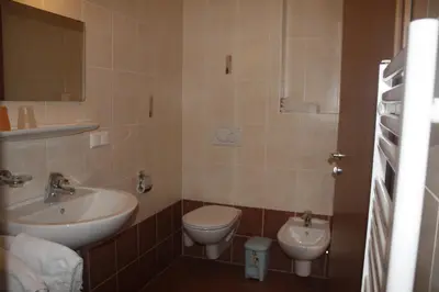 a bathroom with a sink and a toilet at Le Maier in San Vigilio Di Marebbe