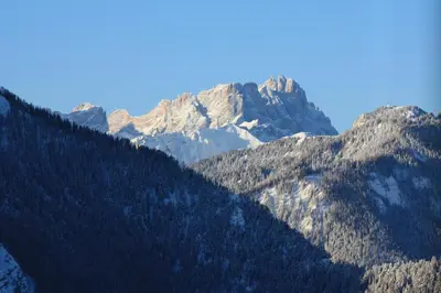 a view of a mountain with trees in the foreground at Le Maier in San Vigilio Di Marebbe