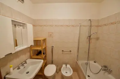 a bathroom with a sink and a toilet and a shower at Ca' Milijera in Cortina dʼAmpezzo