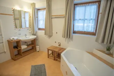 a bathroom with a sink and a bed and a mirror at Gönnerhof in Perca