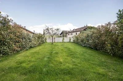 a yard with green grass and apple trees at Weingut Moser Apartments in Caldaro
