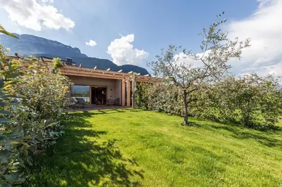 a house with a green yard with a tree at Weingut Moser Apartments in Caldaro