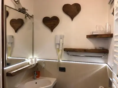 a bathroom with a sink and a mirror at Garnì Villa Cecilia in Mazzin