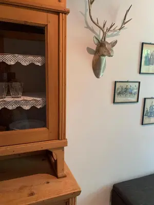 a cabinet with a deer head on the wall at Cavalese luxury mountain and sky in Cavalese