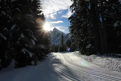 a snow covered road with the sun shining through trees at Merlhof in Fiè