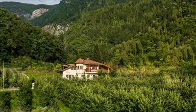 a house in the middle of a field with trees at Weingut & Apartments Weitgruber Raffeis in Merano