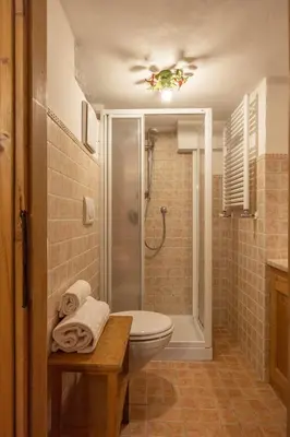a bathroom with a shower and a toilet and a sink at FALORIA Studio Apartment in Cortina dʼAmpezzo