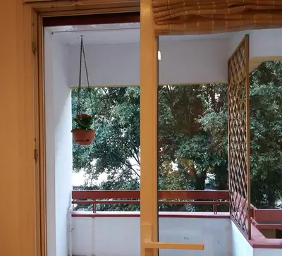 a window with a plant in a pot on a balcony at Appartamento ospitale in Bolzano