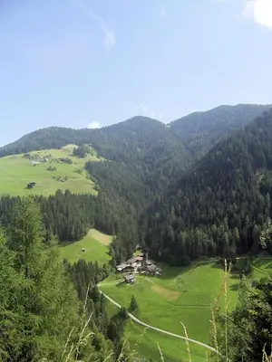a view of a green valley with trees at Pastrogn 4 in La Valle