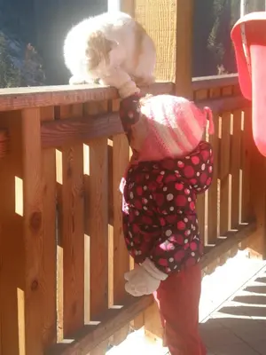 a little girl holding a cat on a fence at Pastrogn 4 in La Valle