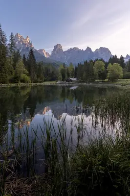 a lake with trees and mountains in the background at Hotel Cant del Gal in Fiera di Primiero