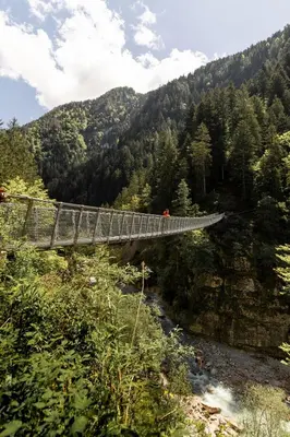 a suspension bridge over a river in a forest at Hotel Cant del Gal in Fiera di Primiero