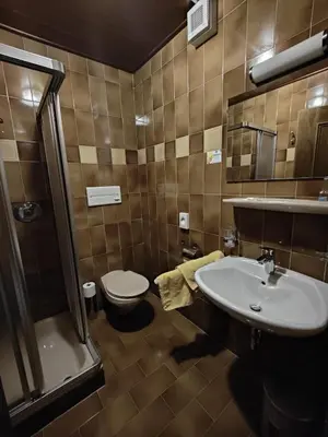 a bathroom with a sink and a toilet and a shower at Hotel Alpenblick in Sarntal