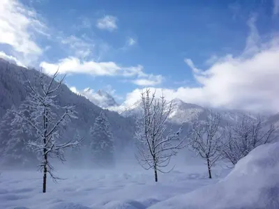 three trees in the snow with mountains in the background at Sport Hotel Cristal in Falcade