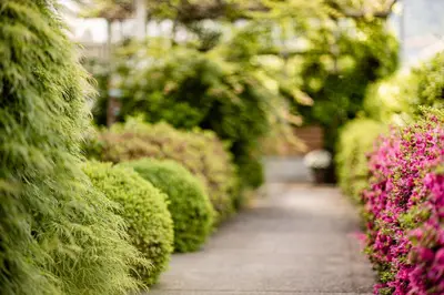 a garden with pink and purple flowers and a pathway at Garden Residence in Lana