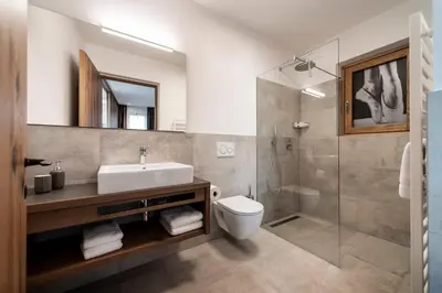 a bathroom with a sink and a toilet and a shower at Papstlhof in Caldaro