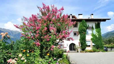 a house with pink flowers in front of it at Pension Laurin in Schenna