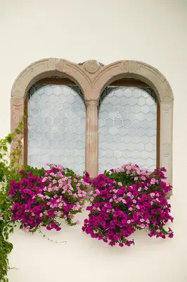 a window with pink flowers on a white wall at Pension Laurin in Schenna