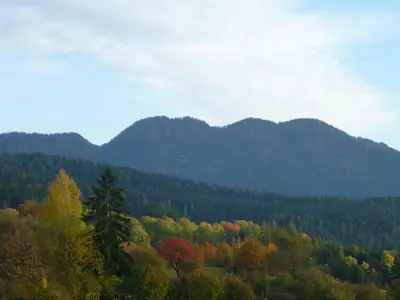 a forest of trees with mountains in the background at La Capannina in Coredo