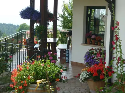 a flower shop with pots of flowers on a balcony at La Capannina in Coredo