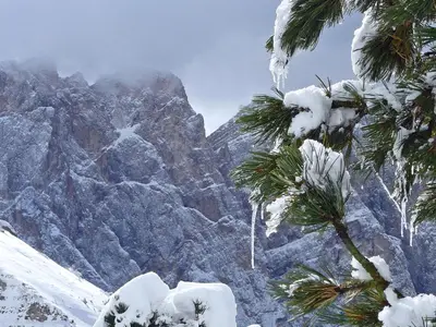a snow covered mountain with palm trees in the foreground at Living Puez in Funes