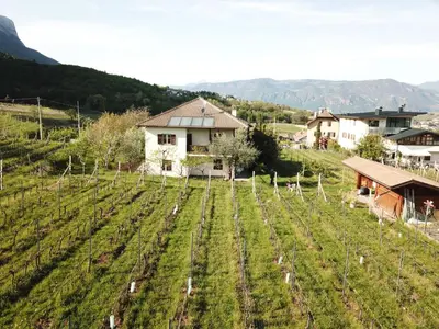 a field of vines with a house in the background at Weingut Hochleiten in Caldaro