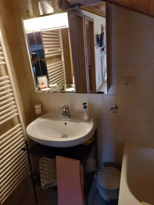 a bathroom with a sink and a mirror at il Nido in Tonadico
