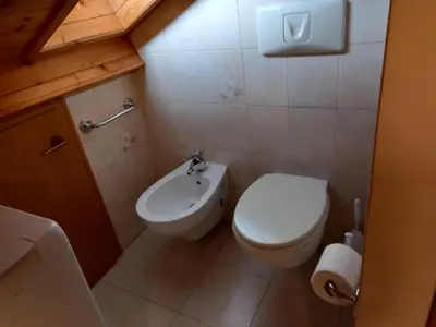 a small bathroom with a toilet and a sink at il Nido in Tonadico