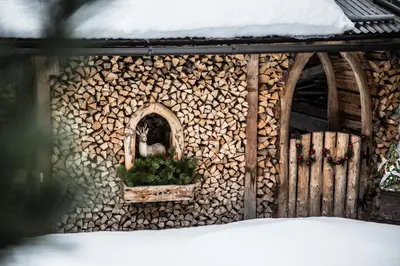 a house made out of fire wood with a plant at Alpenhotel La Montanara in Rocca Pietore